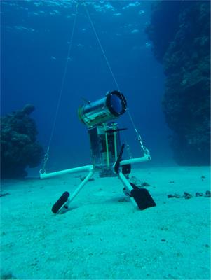 A Standardized Workflow Based on the STAVIRO Unbaited Underwater Video System for Monitoring Fish and Habitat Essential Biodiversity Variables in Coastal Areas